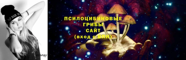 прущая мука Горняк