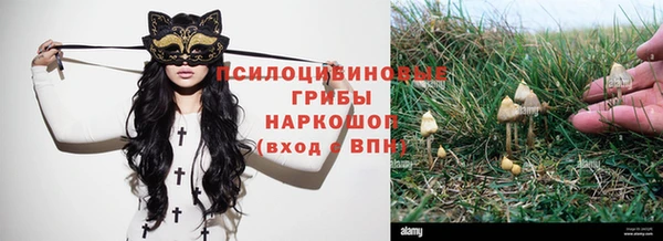 mdma Горнозаводск