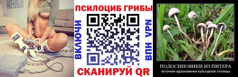 Галлюциногенные грибы GOLDEN TEACHER  Купить  Ужур 